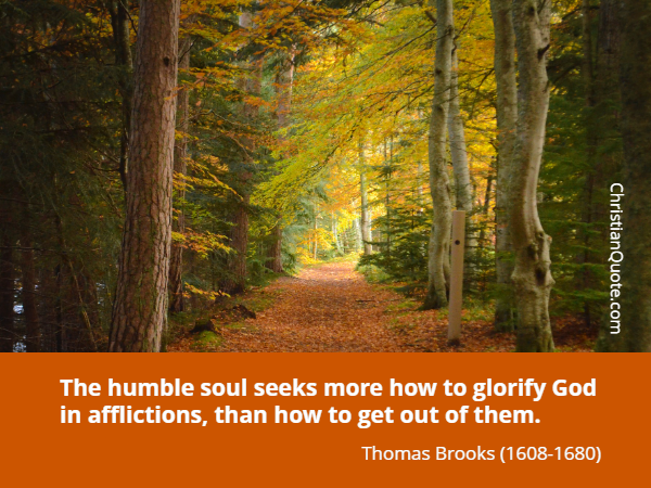 Humble Soul in Afflictions