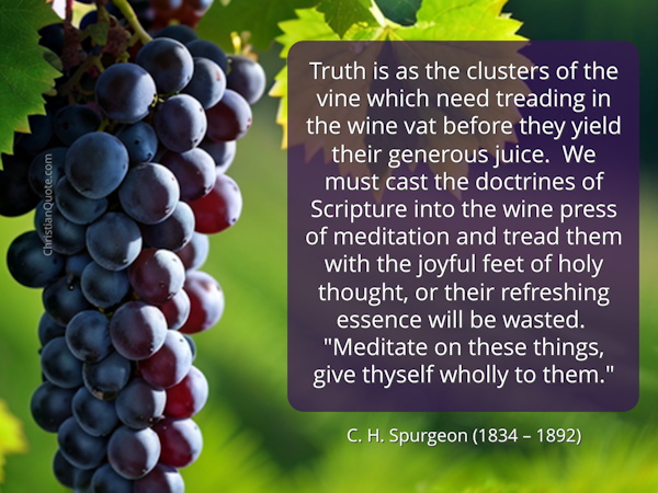 Truth Requires Treading